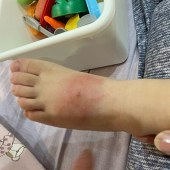 ����ҧ��Ӧ�ô�