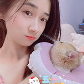 ������ճ����