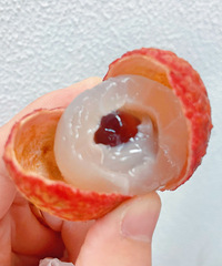 ����ĵ�һ�Ű���� ��������֦ζ��~