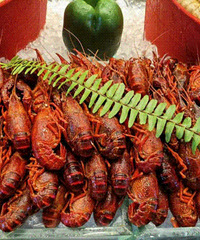 ĸ�׽ڴ������ϲ�������� ��Ϻ����������