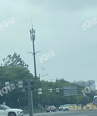 �Ĺ�·���빫԰���ͻ���������ﳵ�ĺ�Ħ��ײ�ˣ�