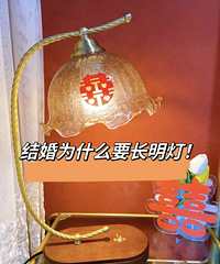 ���Ϊʲô��Ҫ������ ����ҵ����ȡ�Դ�ͳ�����е����ﻨ��