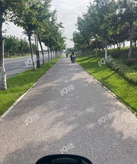 ���¹���綯���Ǹ��ӣ������ñ�����ԣ���Ҹ���ѩ�ϼ�˪