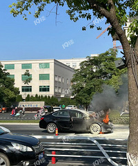 ͩ������г�����ȼ