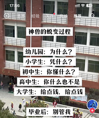 ���ӵ��ɱ���̣���ϧ���ӻ�С��ʱ��̫��ʵ�ˣ�