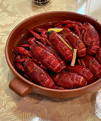 [ҹ��ָ��]�Ժ�����ɵı��򻨵�С��Ϻ������