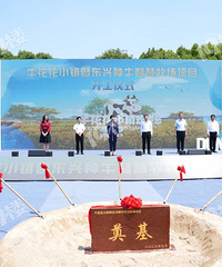 ��ţ����С��Ҫ���ˣ�֮ǰ����Ķ�����ţ��Ҫ��չ�ǻ������ˡ�