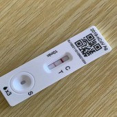 ��ʦ���˻�Ҫ�����ϰ�