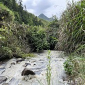 ����Ȼ������