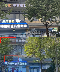 ���£���������MTSR����*����ð�ƣ�������թ�����ߣ�����