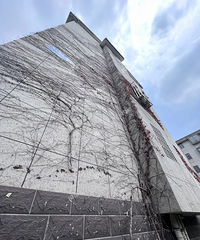 ˽����С��¥����ֲ��ɽ�� ���һ�д�������˵Ļ���