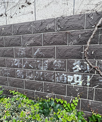 ˽����С��¥����ֲ��ɽ�� ���һ�д�������˵Ļ���