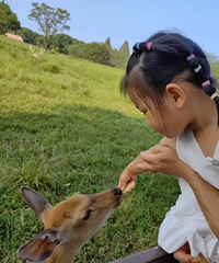 ���빬�鿥����������]���ιС¹ �ι۲���ݺ͹��Ұ汾��