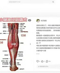 ������С�����ֲ�ȫ���ӹ������ѣ���̭���̵͵��� ʵ����������