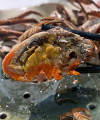 ��Ѧ��ǧ�Ĺ������ǰ���������������