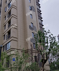 ���С�����棡�Ž���û�����С�� ��ǽ�Ѿ���ά����