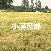 �Ȱ�����ĵ���Ůҽ��