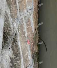 ͷƤ���飡�ӵ�����ȫ�Ǹ����ݲ����ѡ�