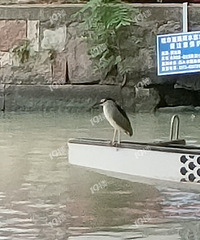 ���Ǻ��Ϻö���أ����ͼ�ǽ�������ĵ���