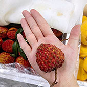 ͷ�ؼ���ô�����֦