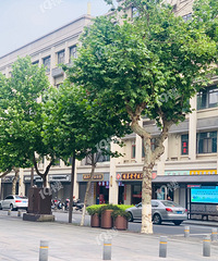 ��̱���￴��ȫ������Ľ������������λ����ҽ�����������