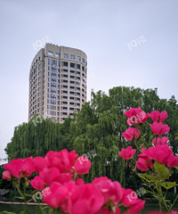 żȻ���ּ��˵�����ϣ���پƵ꣡ʲôʱ���¿��İ���