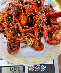 �������ף�С��Ϻȱ��������̼����治������