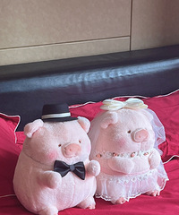 ���������˽��ѹ��Ҫ�����������������ɰ�