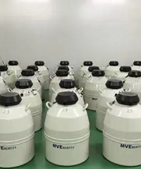 �о��������Թܵ���Ķ� ��ֳ��ҽ������˵��̥���챬����