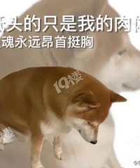 �����顿�߿����������죬�����ĵ�һ��������ʲô��