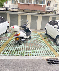 ɹɹ���ǲ�ǨС����ͣ����״�������ȵ��ȵ� ����ռ�ȵã�