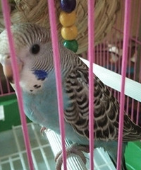 �Ҹ�ϲ��С�������һ�룡