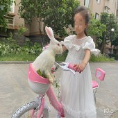 ��ƽ��ƽ �����ޣ�