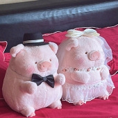 ������ѹ����Ȼ����