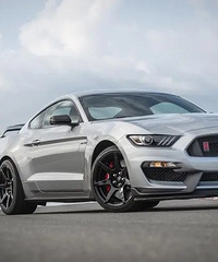 δ�������᲻��ǳ�����?����ȼ�ͳ���ĩ���Ѿ�����