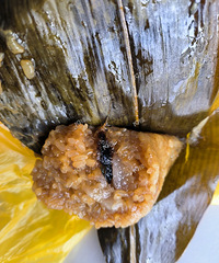 ������Գ������ ������룡��ϵ��� �Է�̬�ȷ��ܡ�