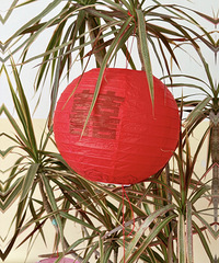 ֵ��ӵ�������Ļ鷿��������� ֱ�ӷ�Χ��������