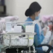 ��������������Ťת