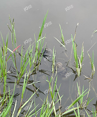 �������ַ��԰��ĳ�����öร���ݣ����˿ֲ���