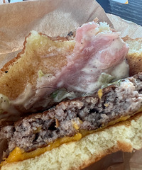 ���ͺ����Գ�����ë������ֱ�����ˡ�