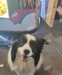 �ֶ��ˣ������������Ź����ӳ���δ�飡�����������鷳��ϵ�ң�