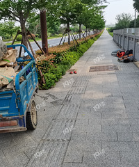 [����]����ף�һʰ�ķ��ް��조˯������·�����е���