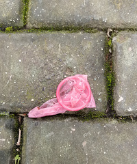 �����ڹ��·����һ��Ԣ���̵��Ͽ������úá�С��ɡ������