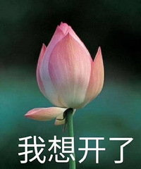 ��֪������������ ���ǽ��֮ǰ��û����̹�׹������ ��ô��