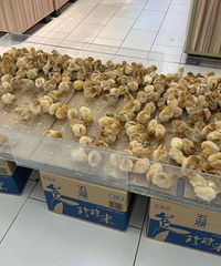 ���ڵĳ��ж���ô���� �򼦵���ʼ��С����