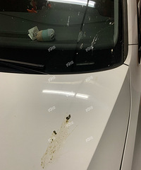 ��������ѽ�������ų�ͻȻ�����Ϸɹ���С��������ʺ��ʲô���ܣ�