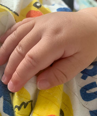 �������ѣ��ϸ��·��� �����ָ�к�� ����������Ч��һ�� զ��