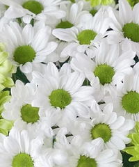 93�걾��������� ��ҵ��λ��ͬ�� Ѱ����30�����ʿ