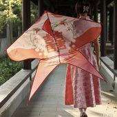 ���ر�ķ��ݣ�