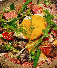 ��򵥵��������һ������˹ţ�Żⷹ